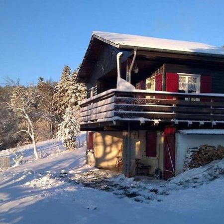 Le Chalet De Rothenbuhl Dabo エクステリア 写真
