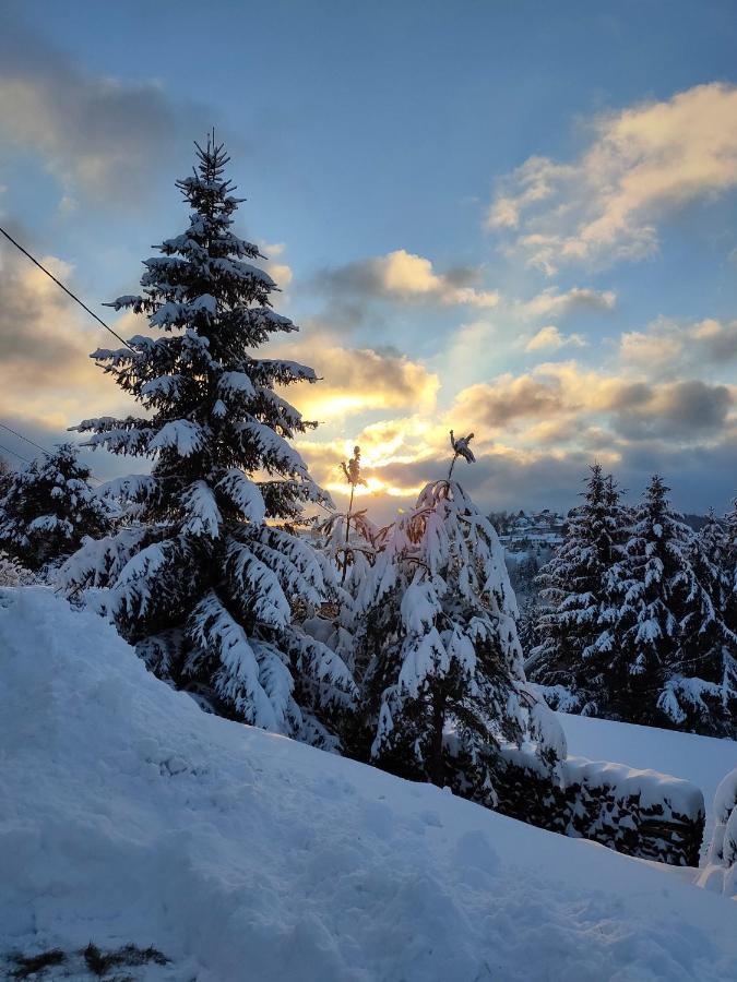 Le Chalet De Rothenbuhl Dabo エクステリア 写真