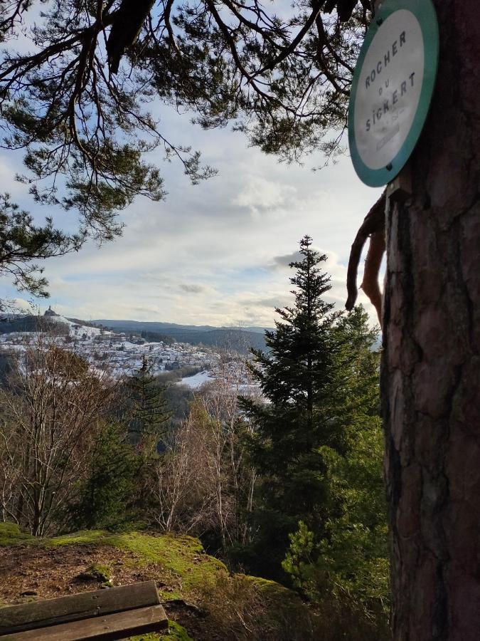 Le Chalet De Rothenbuhl Dabo エクステリア 写真