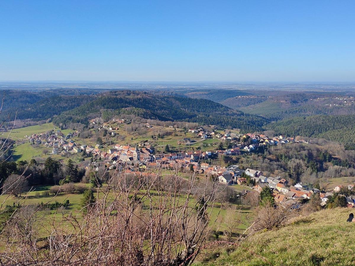 Le Chalet De Rothenbuhl Dabo エクステリア 写真