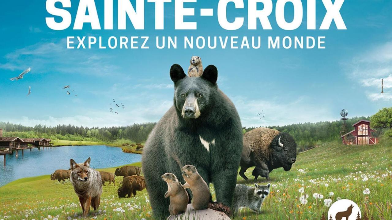 Le Chalet De Rothenbuhl Dabo エクステリア 写真