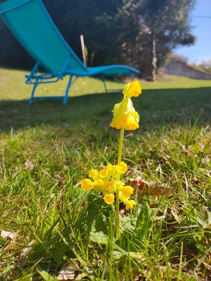 Le Chalet De Rothenbuhl Dabo エクステリア 写真